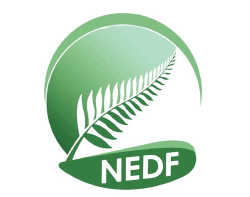 NEDF logo
